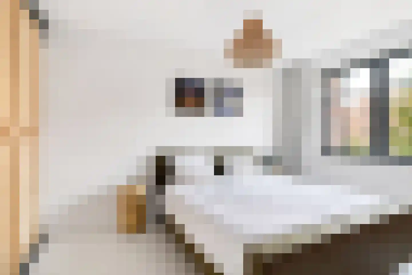 Cederhout 35 Waddinxveen thumbnail 24