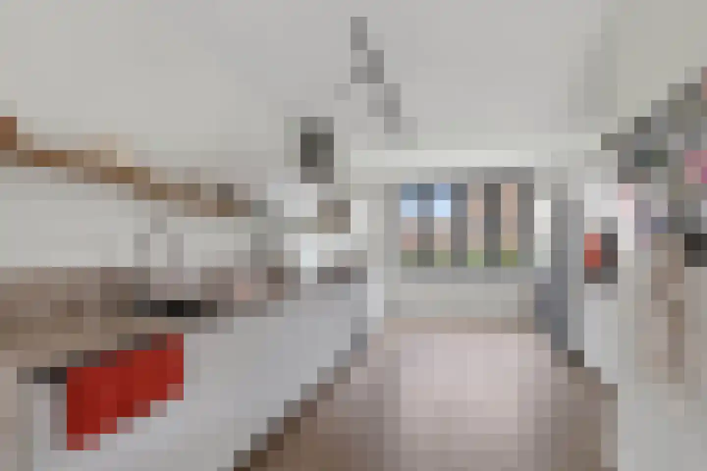 Cederhout 36 Waddinxveen thumbnail 11