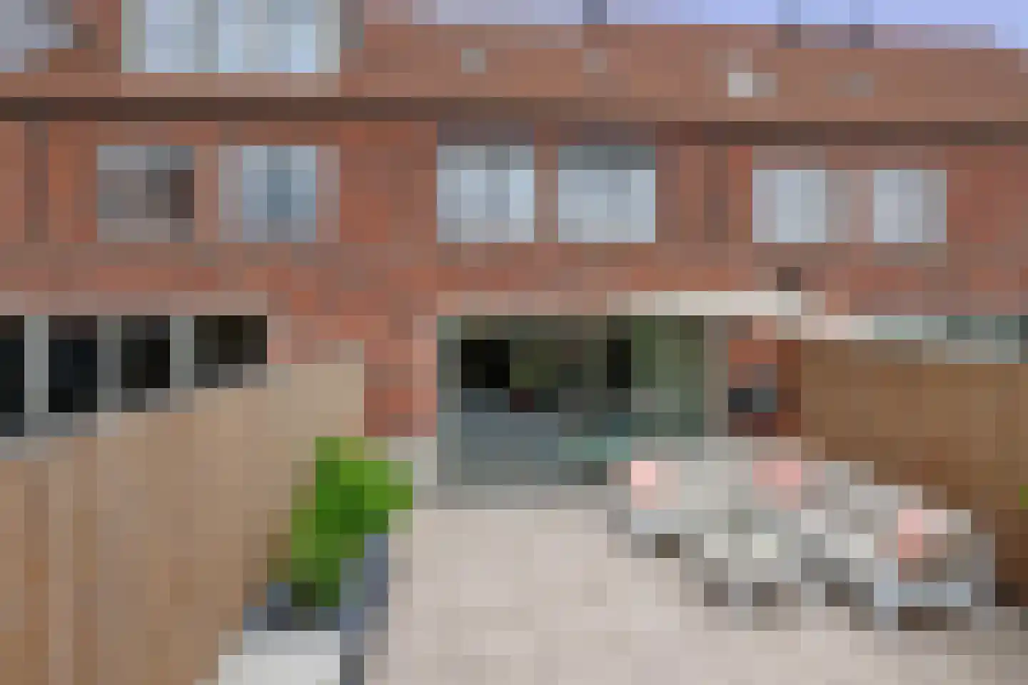 Cederhout 36 Waddinxveen thumbnail 18