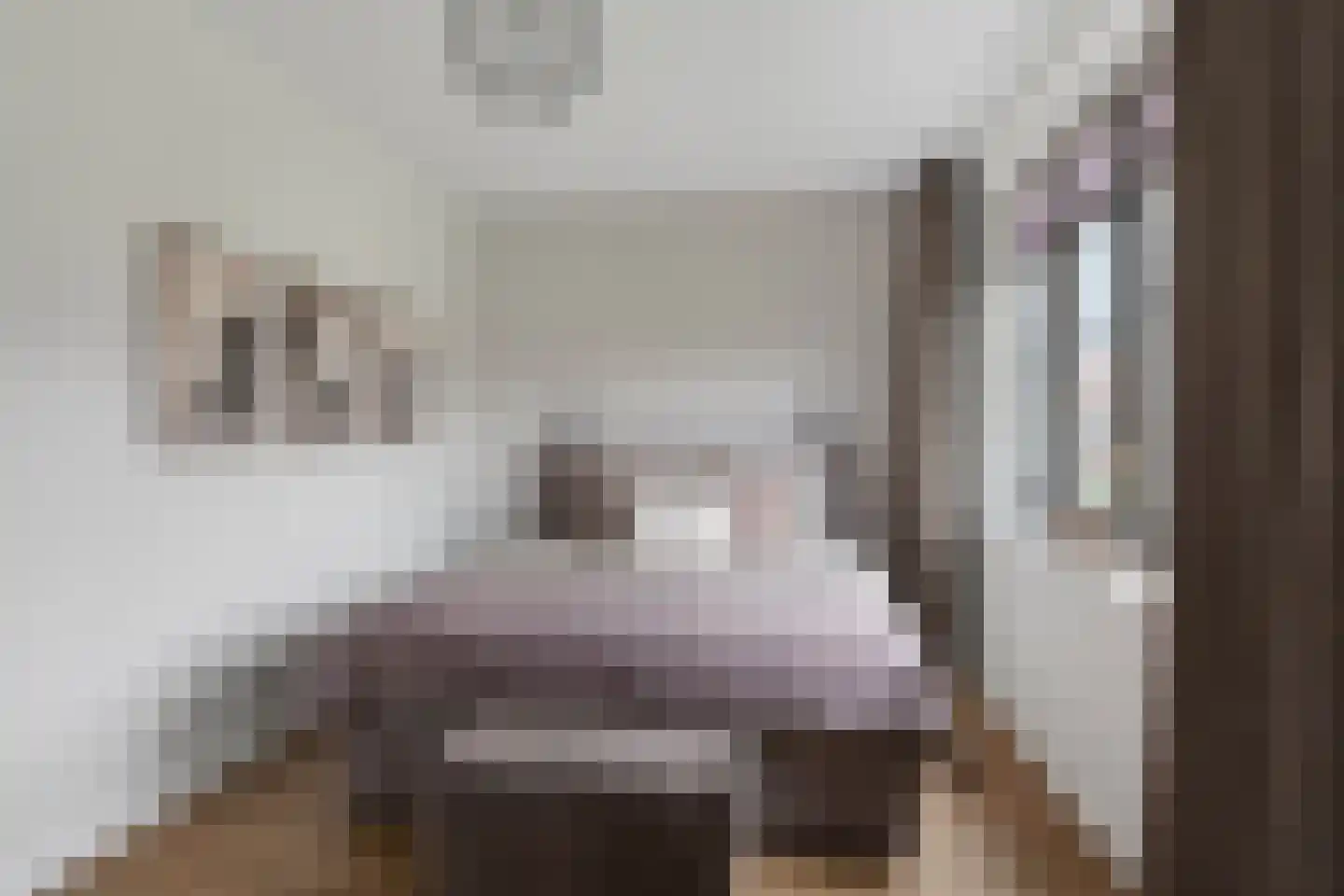 Cederhout 36 Waddinxveen thumbnail 20