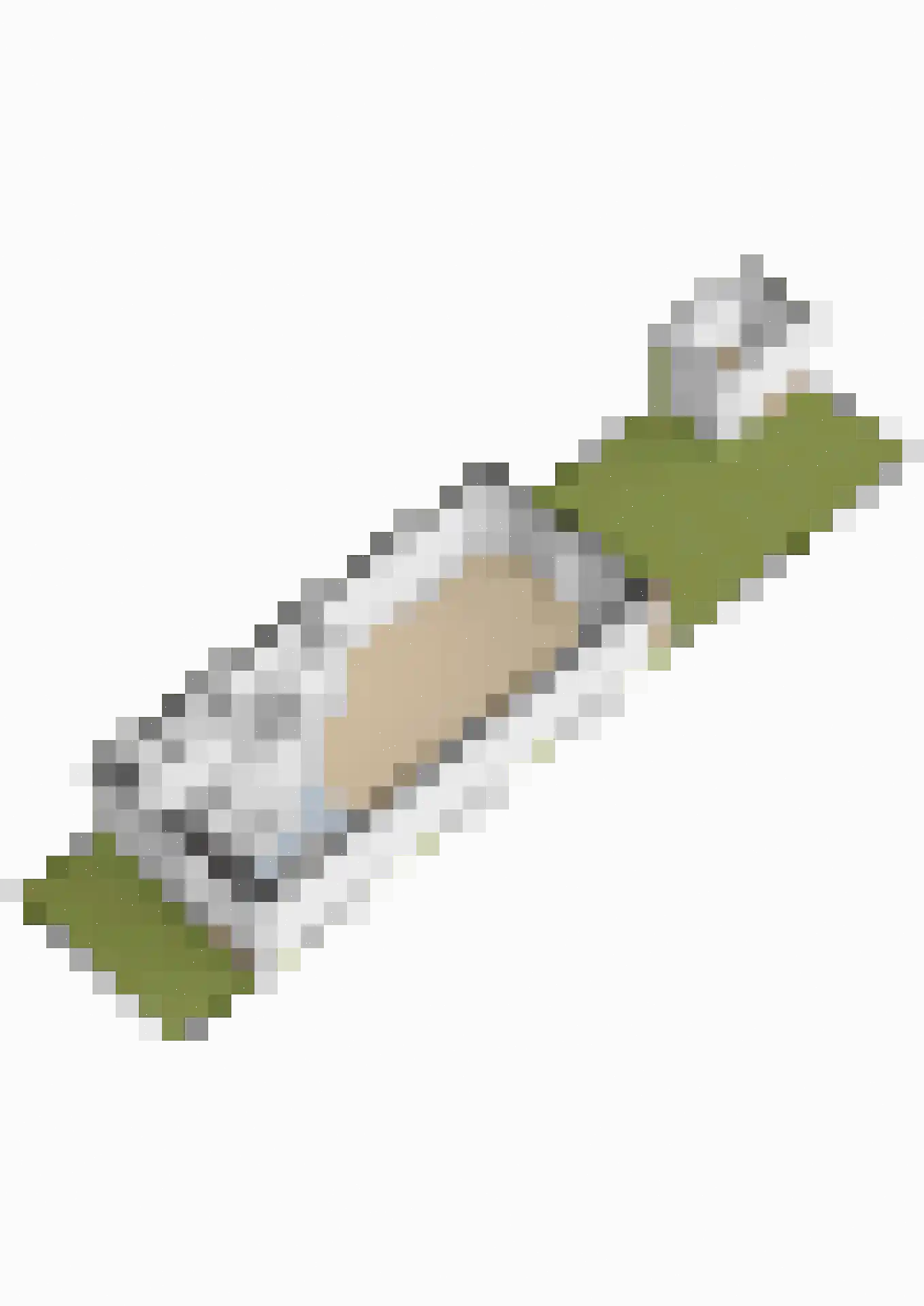 Cederhout 39 Waddinxveen thumbnail 42
