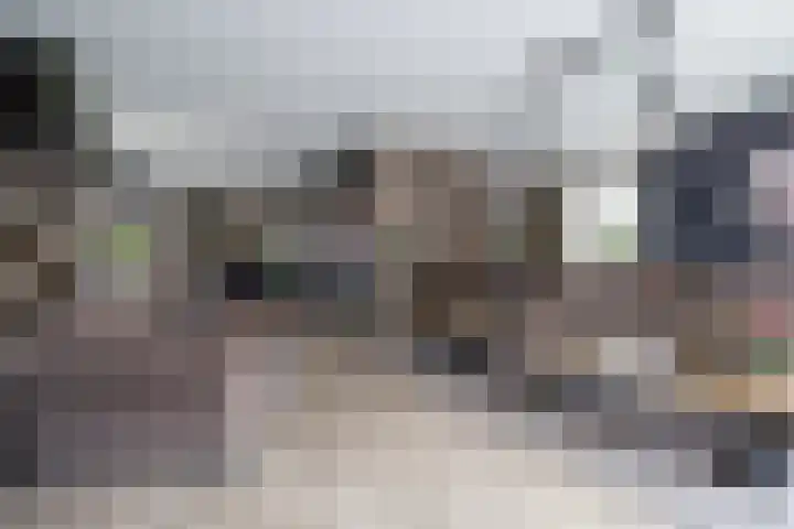 Cederhout 56 Waddinxveen thumbnail 10