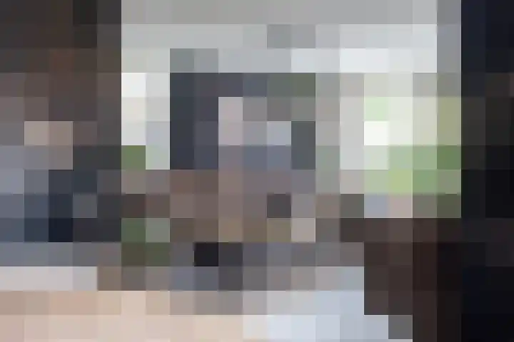 Cederhout 56 Waddinxveen thumbnail 11