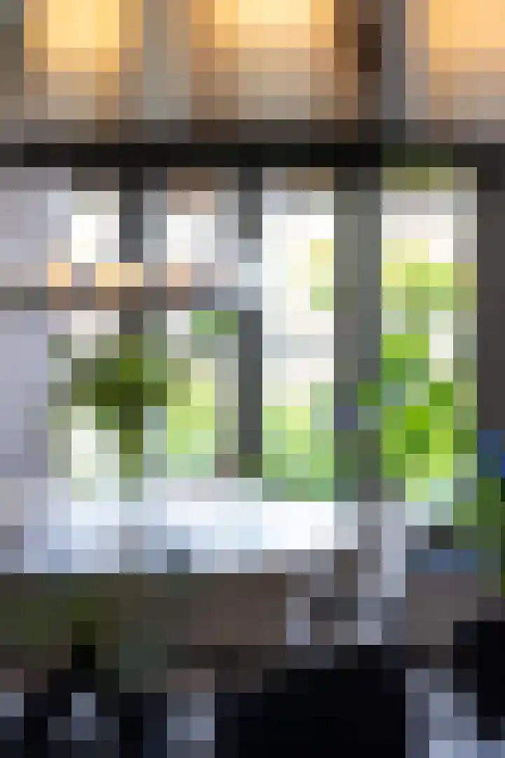 Cederhout 56 Waddinxveen thumbnail 12