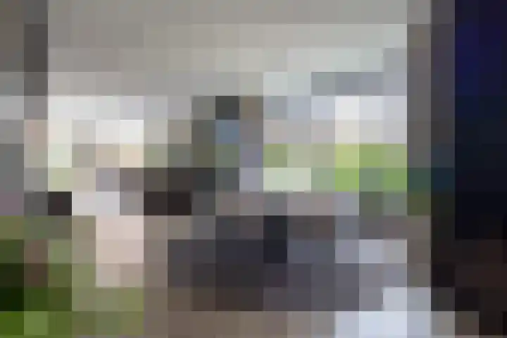 Cederhout 56 Waddinxveen thumbnail 13