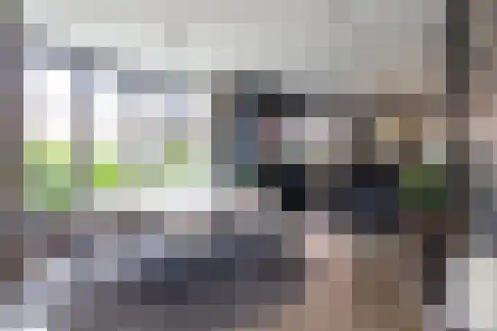 Cederhout 56 Waddinxveen thumbnail 17