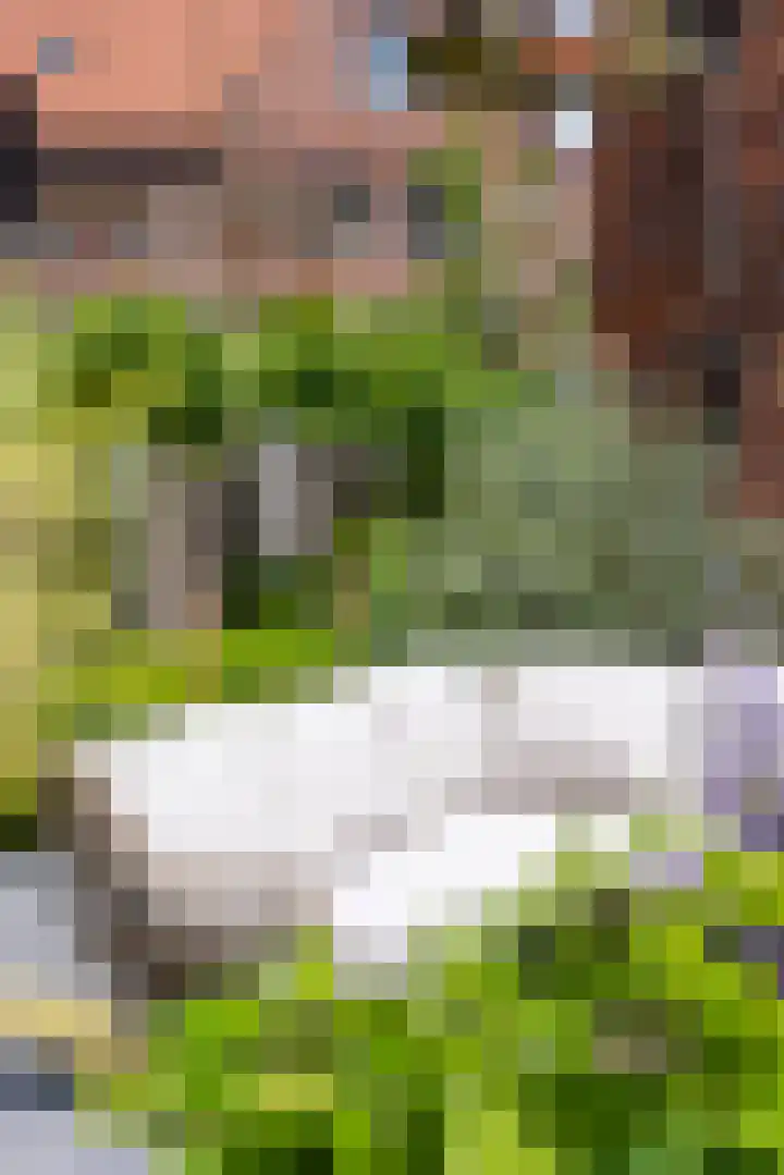 Cederhout 56 Waddinxveen thumbnail 39