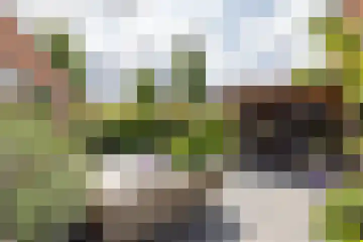 Cederhout 56 Waddinxveen thumbnail 41