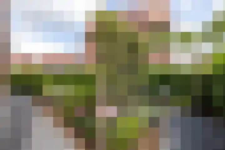 Cederhout 56 Waddinxveen thumbnail 44
