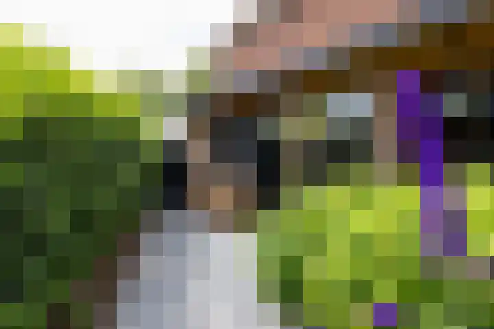 Cederhout 56 Waddinxveen thumbnail 46