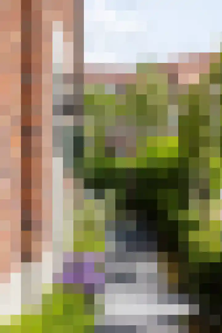 Cederhout 56 Waddinxveen thumbnail 47