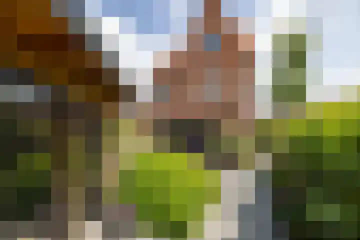 Cederhout 56 Waddinxveen thumbnail 48