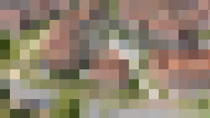 Cederhout 56 Waddinxveen thumbnail 5