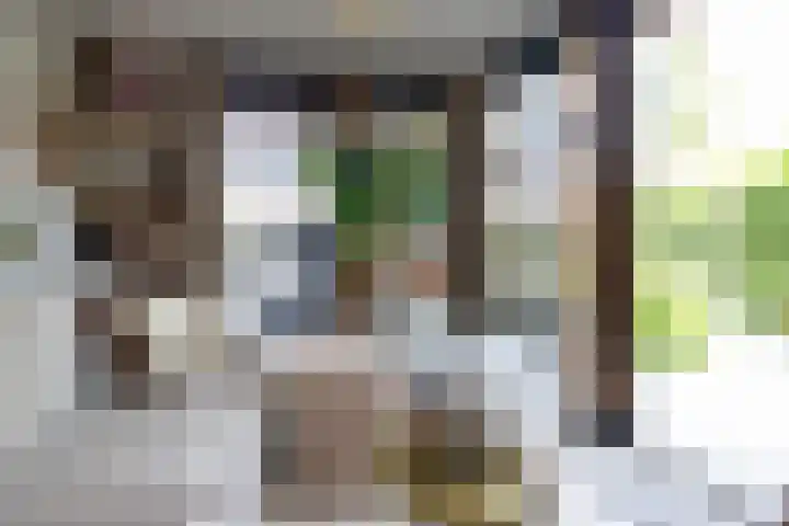 Cederhout 56 Waddinxveen thumbnail 50