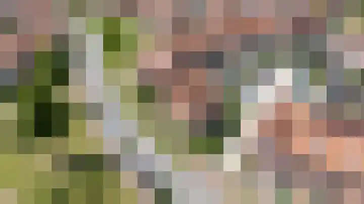 Cederhout 56 Waddinxveen thumbnail 54