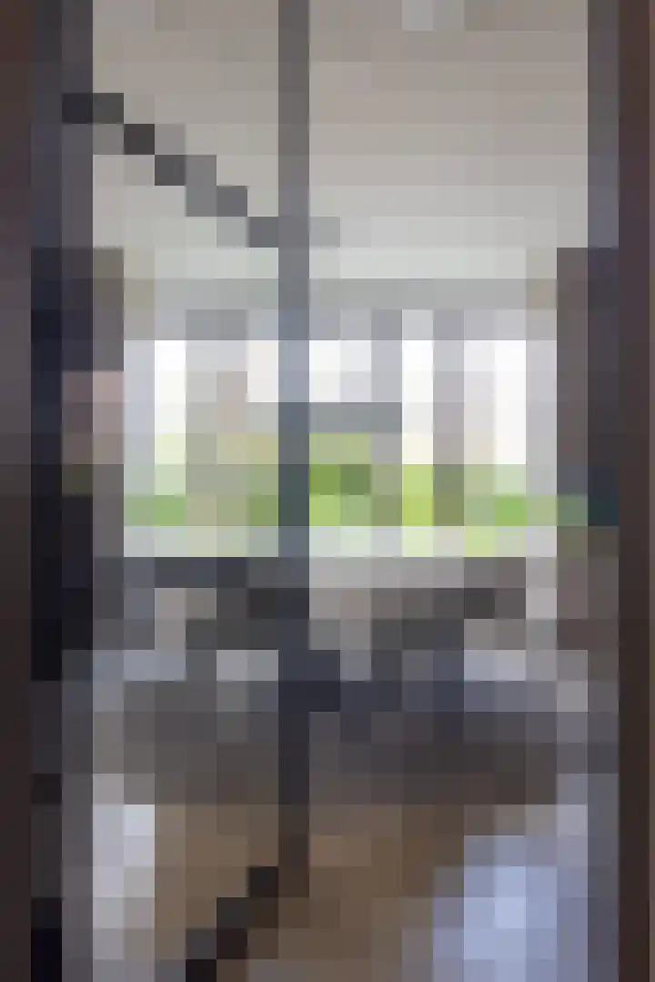 Cederhout 56 Waddinxveen thumbnail 6