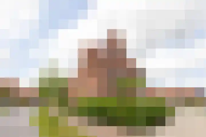Cederhout 56 Waddinxveen thumbnail 60