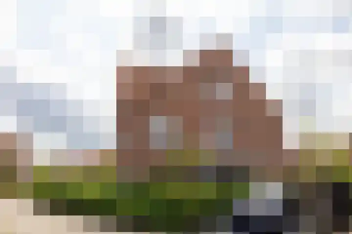 Cederhout 56 Waddinxveen thumbnail 61