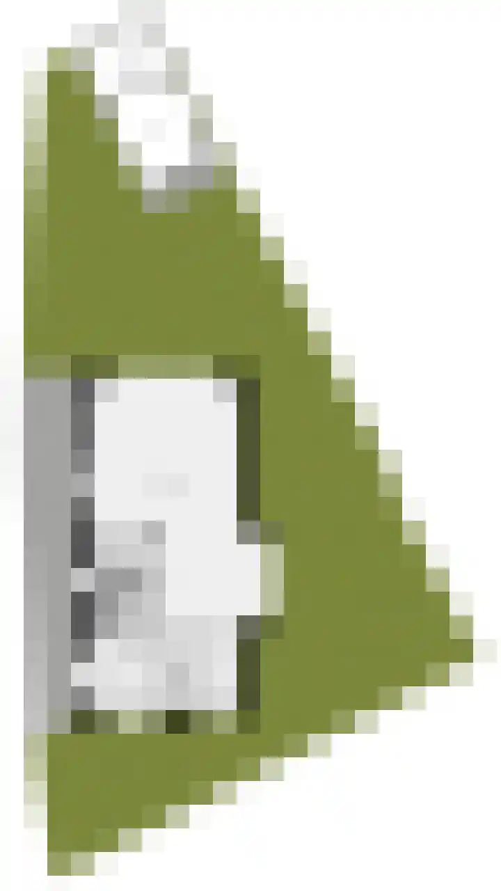 Cederhout 56 Waddinxveen thumbnail 67