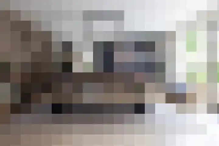 Cederhout 56 Waddinxveen thumbnail 7