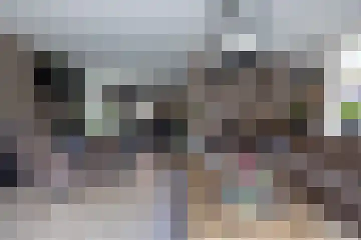 Cederhout 56 Waddinxveen thumbnail 9