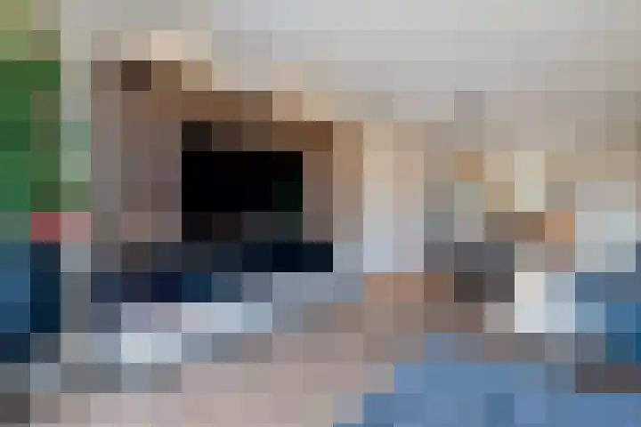 Cederhout 6 Waddinxveen thumbnail 10