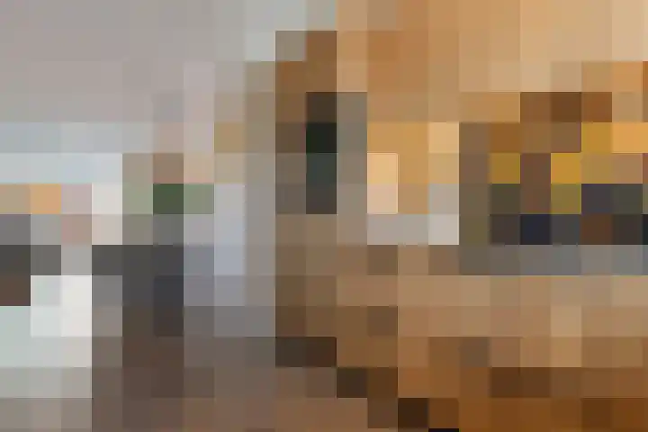 Cederhout 6 Waddinxveen thumbnail 12