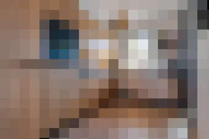 Cederhout 6 Waddinxveen thumbnail 13