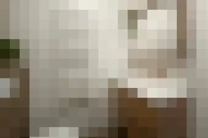 Cederhout 6 Waddinxveen thumbnail 18