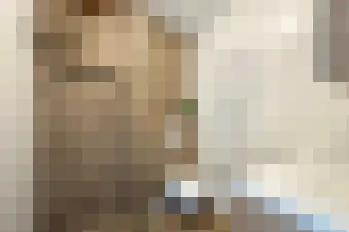 Cederhout 6 Waddinxveen thumbnail 19