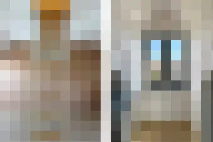 Cederhout 6 Waddinxveen thumbnail 24