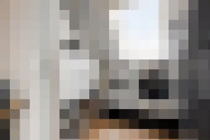 Cederhout 6 Waddinxveen thumbnail 25