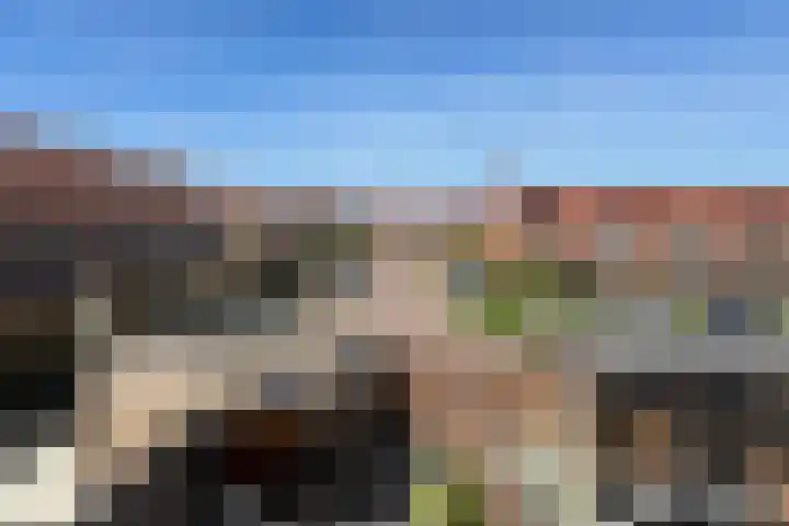 Cederhout 6 Waddinxveen thumbnail 26