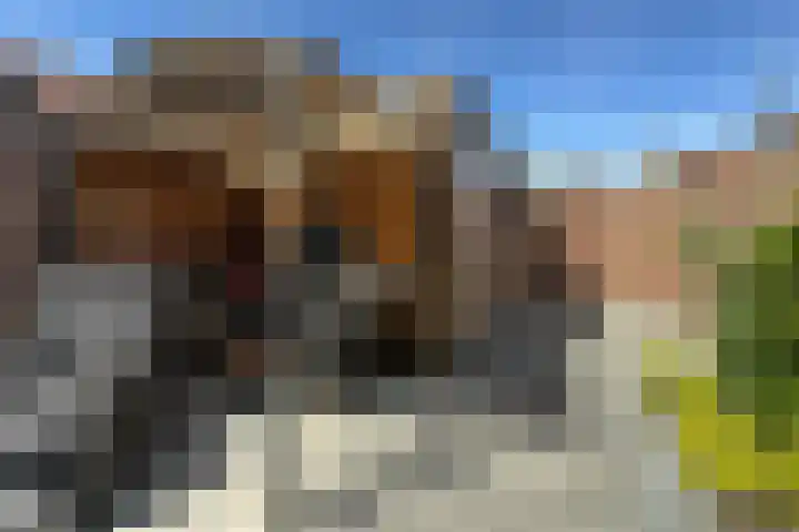 Cederhout 6 Waddinxveen thumbnail 28