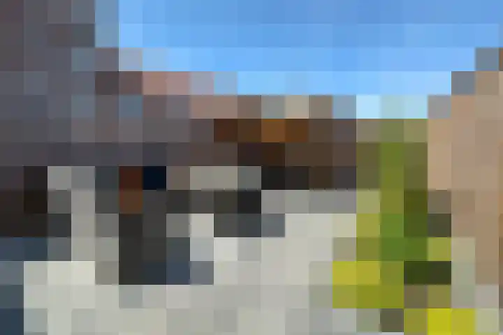 Cederhout 6 Waddinxveen thumbnail 29