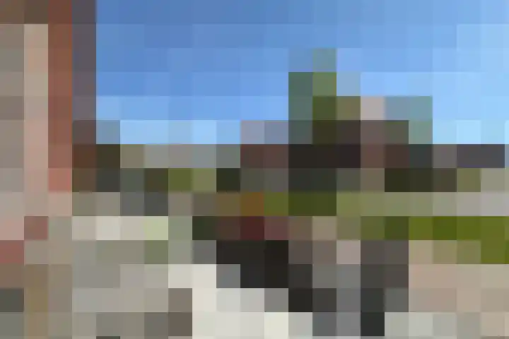 Cederhout 6 Waddinxveen thumbnail 30