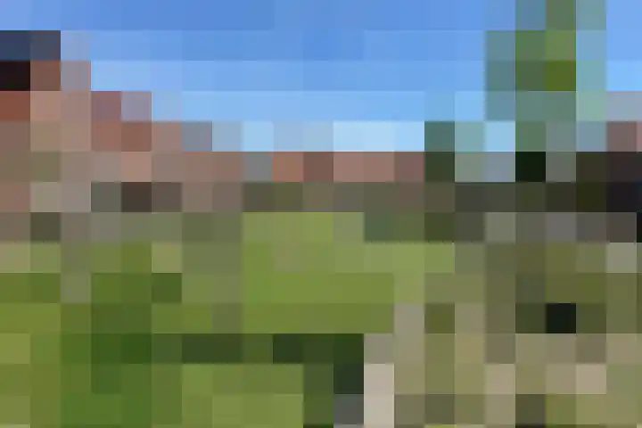 Cederhout 6 Waddinxveen thumbnail 31