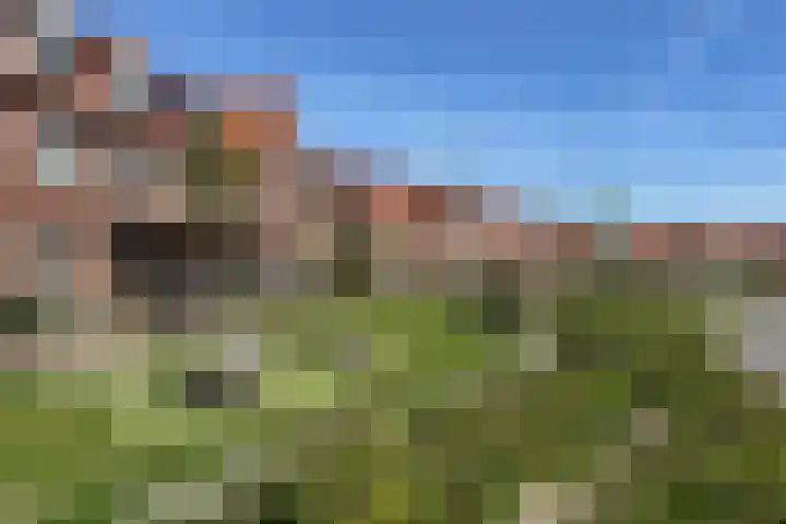 Cederhout 6 Waddinxveen thumbnail 32