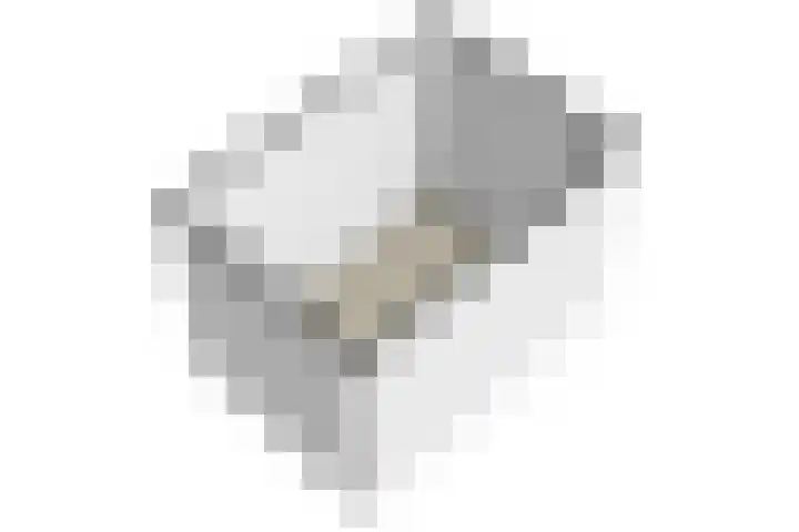 Cederhout 6 Waddinxveen thumbnail 44