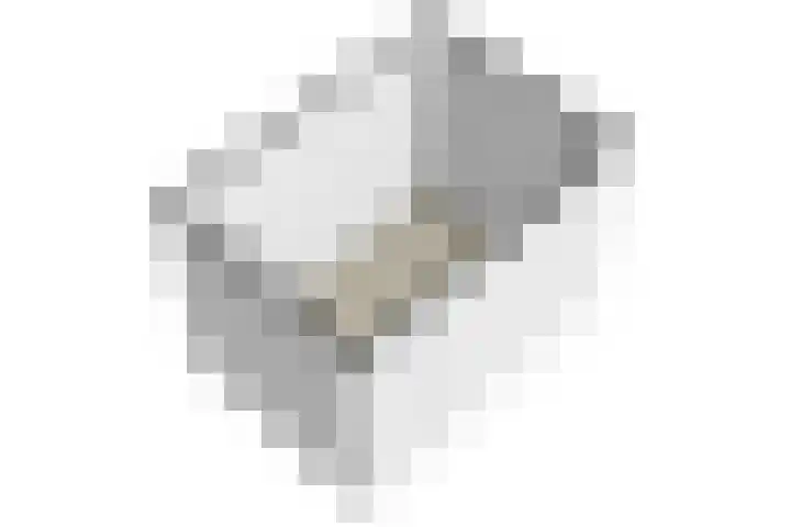 Cederhout 6 Waddinxveen thumbnail 45