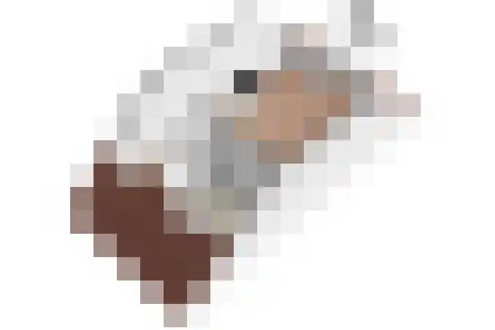 Cederhout 6 Waddinxveen thumbnail 47