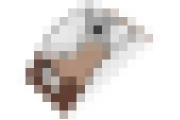 Cederhout 6 Waddinxveen thumbnail 48