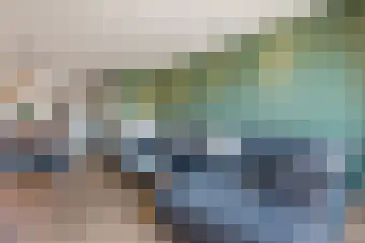 Cederhout 6 Waddinxveen thumbnail 9
