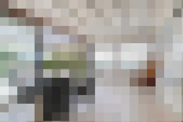 Cederlaan 1 Kamperland thumbnail 19