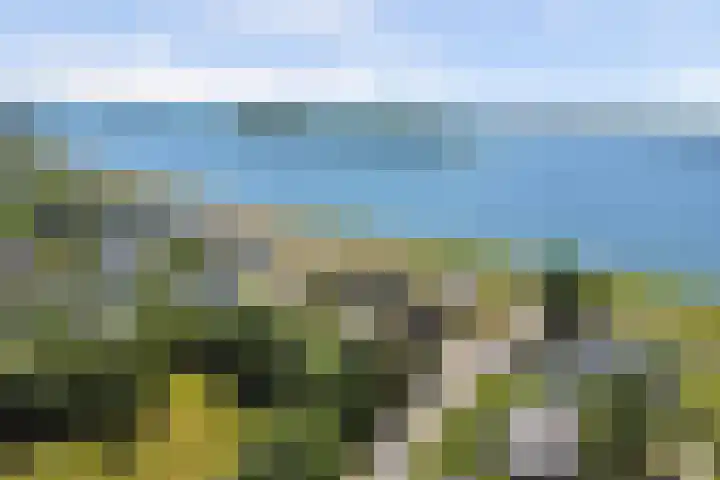 Cederlaan 1 Kamperland foto 2