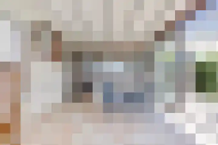 Cederlaan 1 Kamperland thumbnail 20
