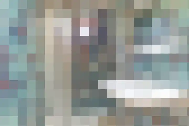 Cederlaan 1 Kamperland thumbnail 31