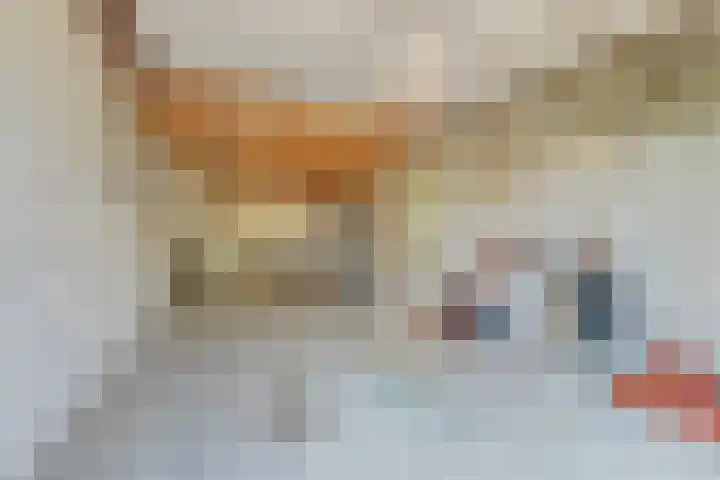 Cederlaan 1 Kamperland thumbnail 38