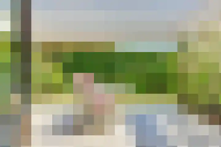 Cederlaan 1 Kamperland thumbnail 39