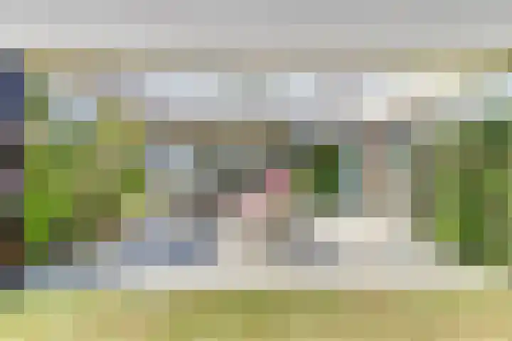 Cederlaan 1 Kamperland thumbnail 40